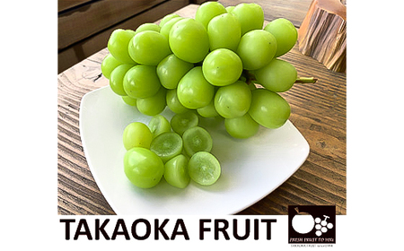 2026年発送「産地より信州中野の旬をお届け」 シャインマスカット　PREMIUM　約1.2kg【配送不可地域：離島】【1311086】