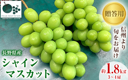 2026年発送「産地より信州中野の旬をお届け」 シャインマスカット　贈答用　約1.8kg【配送不可地域：離島】【1311089】