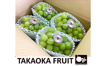 2026年発送「産地より信州中野の旬をお届け」 シャインマスカット　贈答用　約1.8kg【配送不可地域：離島】【1311089】