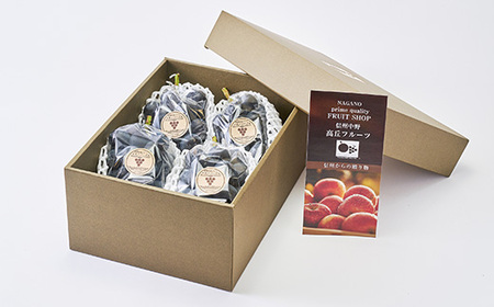 2026年発送「産地より信州中野の旬をお届け」 ナガノパープル　贈答用　約1.8kg【配送不可地域：離島】【1311112】