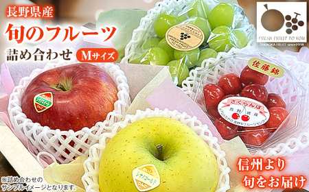 高丘フルーツの長野県産「旬のフルーツ詰め合わせ」(Mサイズ)【配送不可地域：離島】【1408637】