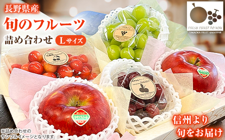 高丘フルーツの長野県産「旬のフルーツ詰め合わせ」(Lサイズ)【配送不可地域：離島】【1408642】