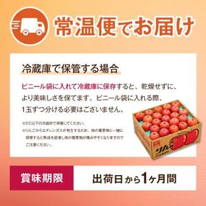 JA中野市「サンふじ」ご家庭用「小玉」5kg以上(18～23玉入)【1526204】