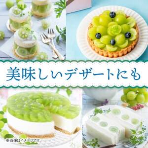 2026年発送　【信州産】シャインマスカット1kg【1246230】