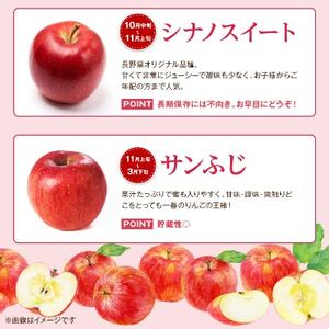 ご家庭用 信州りんご3kg【1246323】