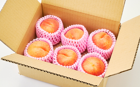 【2026年発送】フルーツ王国　長野県信州直送　ワッサークイン　約3kg(9～12玉)【配送不可地域：離島】【1530502】