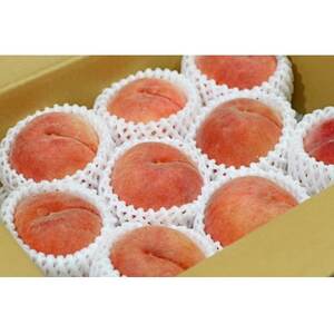 【2026年発送】フルーツ王国　長野県信州直送「旬な桃」　あかつき　約5kg(13～16玉)【配送不可地域：離島】【1530515】