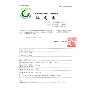 長野県の認証取得の美味しいサンふじ林檎10kg【1534439】