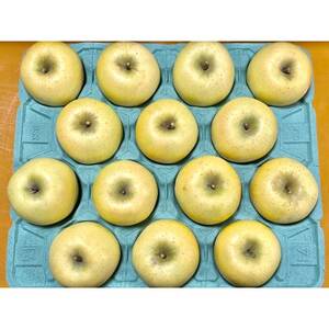 シャキシャキ!サクサク!シナノゴールド 約5kg【1539933】