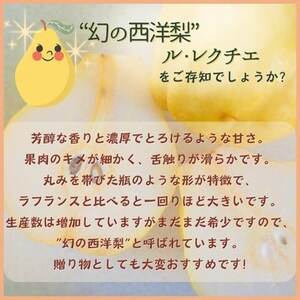 西洋梨 ル・レクチェ 2kg【1540508】