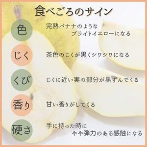 西洋梨 ル・レクチェ 2kg【1540508】