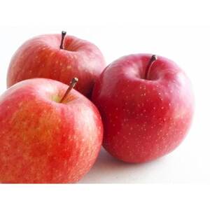 【2026年発送】フルーツ王国 長野県産 りんご シナノドルチェ 約5kg(10~18玉程度)【1541904】