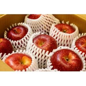 【2026年発送】フルーツ王国　長野県産 りんご　紅玉(こうぎょく)　約5kg(10～18玉程度)【1541925】