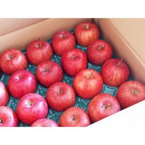 【2026年発送】フルーツ王国 長野県産 りんご 紅玉(こうぎょく) 約3kg(7~11玉程度)【1541927】