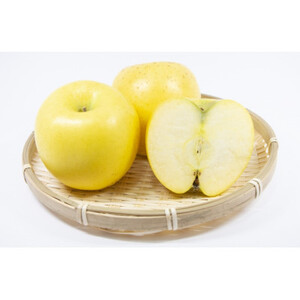 長野県産 りんご シナノゴールド 約1.5kg(3~5玉程度)【1541949】