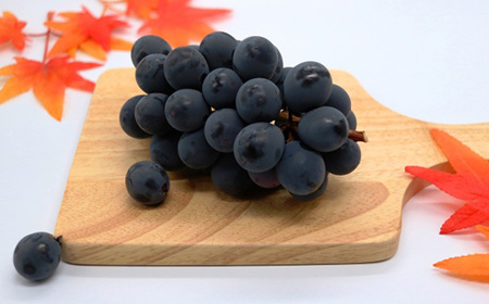 【2026年先行受付】フルーツ王国信州産地直送 皮ごと食べられるナガノパープル 約1kg(1~3房)【配送不可地域:離島】【1541964】