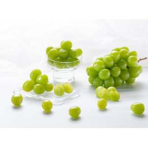 【2026年先行受付】シャインマスカット (2～3房)【配送不可地域：離島】【1543045】