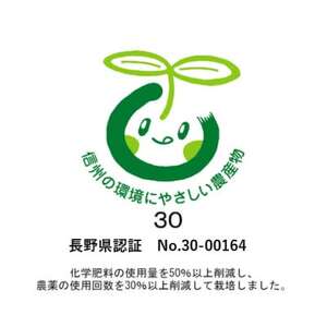 【2026年先行受付】シャインマスカット (2～3房)【配送不可地域：離島】【1543045】