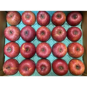 シャキッ!甘～い!小玉 食べきりサイズ!シナノスイート 約10kg 信州りんご【1544371】