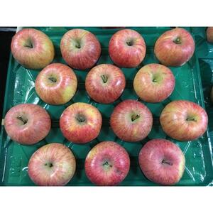 シャキッ!甘～い!シナノスイート 家庭用 約5kg【1550099】