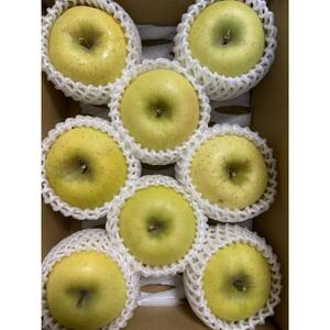 シャキシャキ!サクサク!シナノゴールド贈答用 約3kg【1550106】