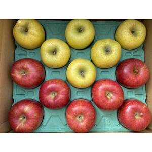 シナノスイート、シナノゴールド詰合せ 約5kg【1551867】