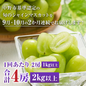 【発送月固定定期便】〈2026年発送〉シャインマスカット2房1kg以上　JA中野市から直送全2回【配送不可地域：離島】【4059319】