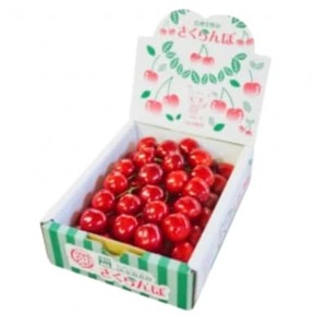 【2026年発送】産地直送　信州中野産　さくらんぼ　紅秀峰　 ハート箱　約300g【配送不可地域：離島】【1569844】