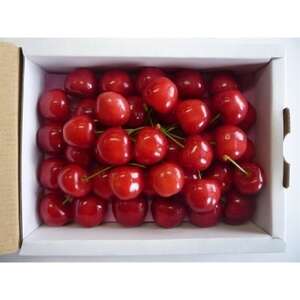【2026年発送】産地直送　信州中野産　さくらんぼ　高砂　ハート箱　約300g【配送不可地域：離島】【1570392】