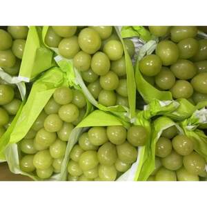 【2026年先行受付】フルーツ王国信州産地直送 シャインマスカット 約2kg(2~5房)【配送不可地域:離島】【1573057】