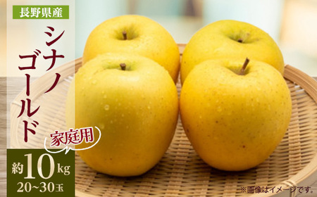 【家庭用】【2025年発送】　長野県産 りんご　シナノゴールド　約10kg(20～30玉程度)【1574750】
