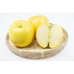 長野県 北信州のりんご 5kg(10~18玉)おまかせ2品種 贈答におすすめ【1575337】