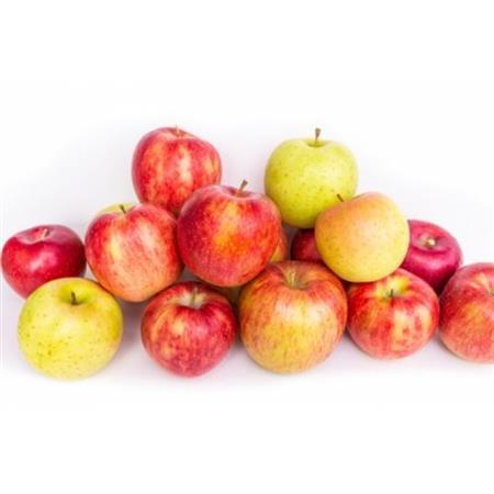 長野県北信州のりんご　約10kg(20～30玉)おまかせ2品種　贈答におすすめ【1575341】