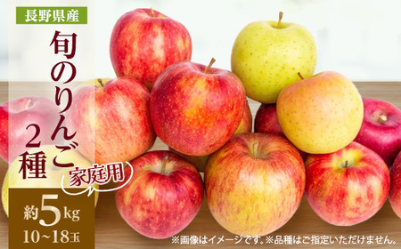家庭用　長野県北信州のりんご　約5kg(10～18玉)おまかせ2品種【1575398】