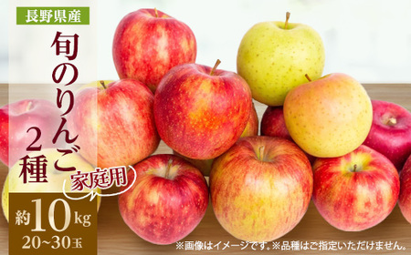 家庭用　長野県北信州のりんご　約10kg(20～30玉)おまかせ2品種【1575400】