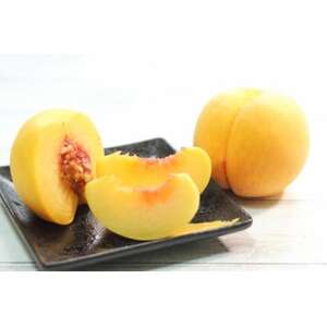 【2026年発送】フルーツ王国　長野県信州直送　黄金桃　約3kg(8～12玉)【配送不可地域：離島】【1576211】