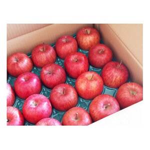 家庭用【2026年発送】長野県産 りんご　秋映(あきばえ)　約3kg(6～11玉)【1576295】