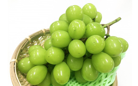 家庭用【2026年先行受付】フルーツ王国信州産地直送　シャインマスカット　約2kg(2～5房)【配送不可地域：離島】【1576728】