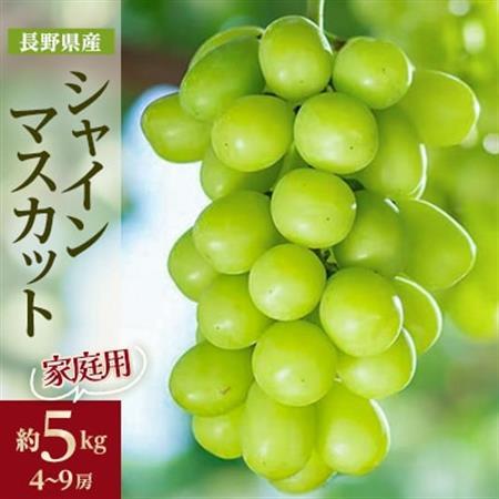 家庭用【2026年先行受付】フルーツ王国信州産地直送　シャインマスカット　約5kg(4～9房)【配送不可地域：離島】【1576730】