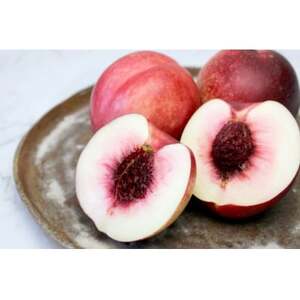 【2026年発送】長野県信州直送　ネクタリン　約3kg(9～12玉)【配送不可地域：離島】【1576781】