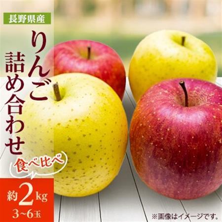 長野県産 りんご サンふじ＆シナノゴールド 詰め合わせ 約2kg(3～6玉程度)【1577883】