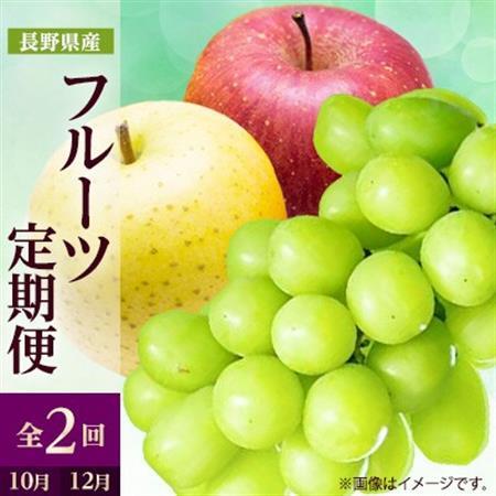 【発送月固定定期便】2026年発送 長野の果物 シャインマスカット+りんご詰め合わせ全2回【配送不可地域：離島】【4063516】