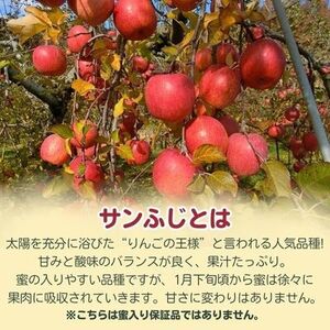 サンふじ 小玉 5kg 23～25玉【1587840】