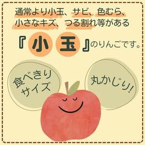 サンふじ 小玉 5kg 23～25玉【1587840】