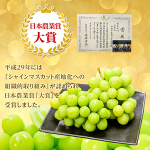 大粒・大房プレミアムシャインマスカット 1房700g以上 長野県中野市から直送【配送不可地域：離島】【1591368】