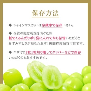 大粒・大房プレミアムシャインマスカット 1房700g以上 長野県中野市から直送【配送不可地域：離島】【1591368】