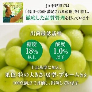 【2026年発送】JA中野市直送 訳ありシャインマスカット2.3kg以上満足セット(4~5房)【配送不可地域:離島】【1594569】