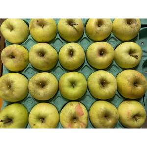 シャキシャキ!サクサク!シナノゴールド 家庭用 約5kg【1660785】