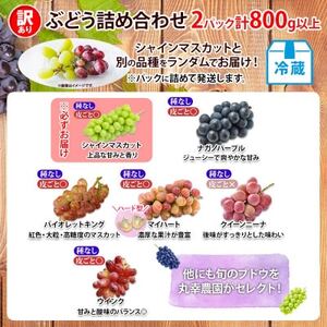 【2026年先行受付】訳あり ぶどう 房 2種 食べ比べ 計2パック(計800g以上) 信州丸幸農園【配送不可地域:離島・沖縄県】【1671026】
