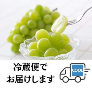 【2026年先行予約開始!】長野県中野市産シャインマスカット 計1.0～1.2kg(2～3房)【配送不可地域：離島】【1682420】